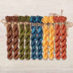 НМул-ИМЯ171-3282-5 Набор ниток OwlForest для схем «Индейские мотивы» (DMC) 5 цветов «Ящерицы» 28 каунт в 2 нити