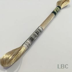 S739 Мулине DMC Satin, арт. 1008F, 8 м