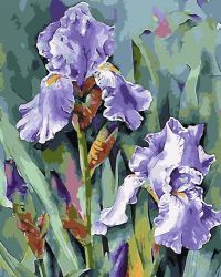 VA-0650 Картина по номерам Paintboy "Прекрасные ирисы" 